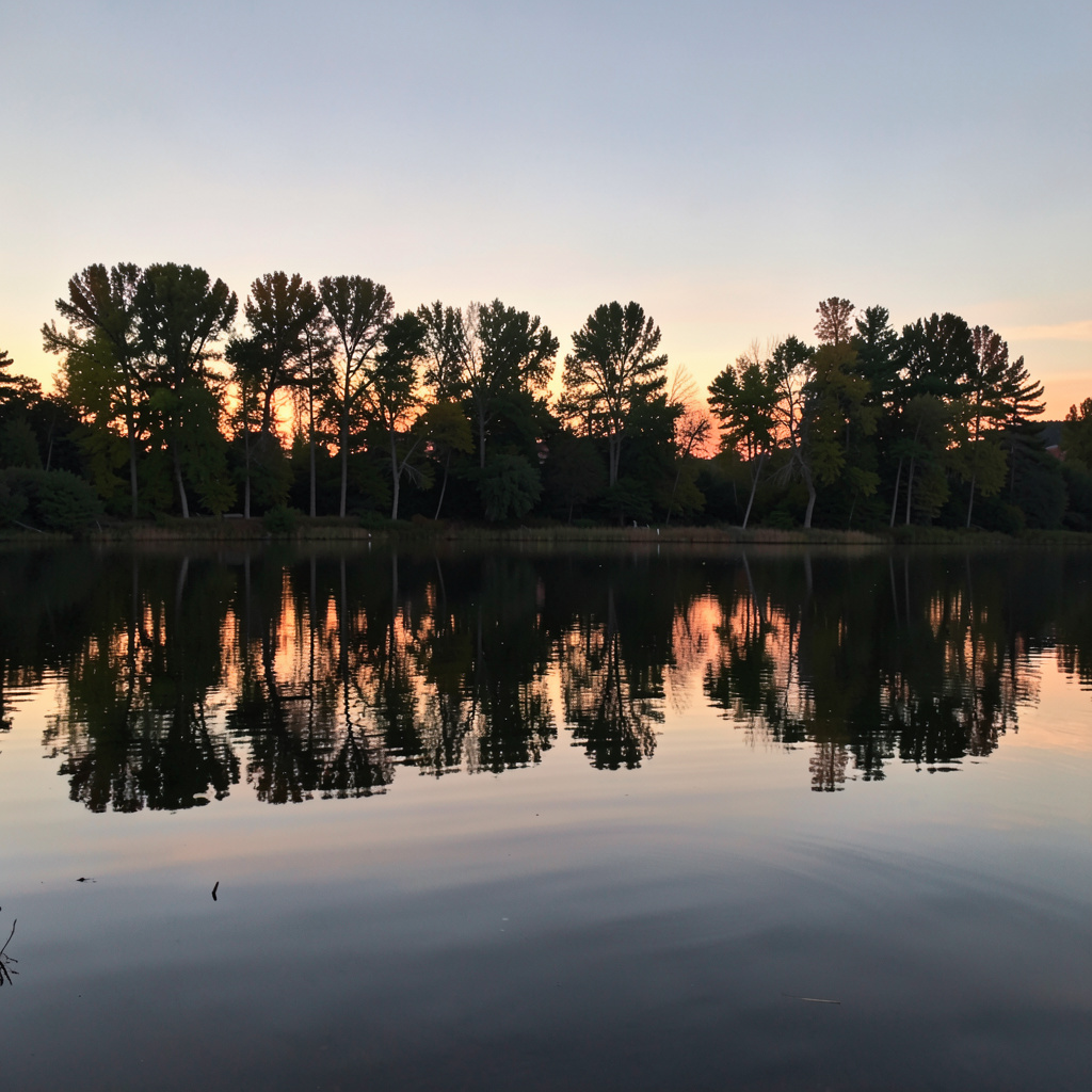A row of trees reflected in a calm lake at sunset, with the 