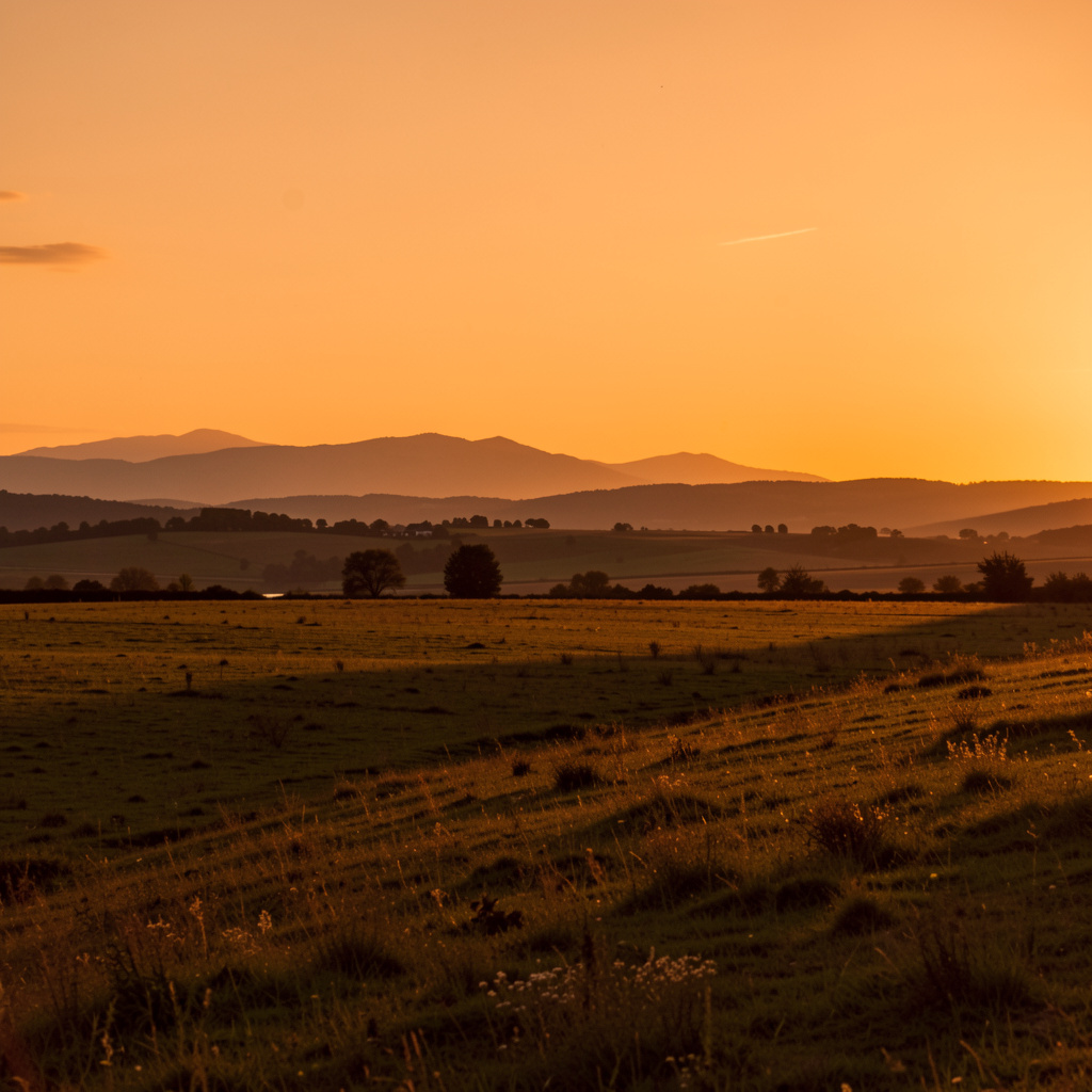 A landscape photograph bathed in golden hour light — long wa