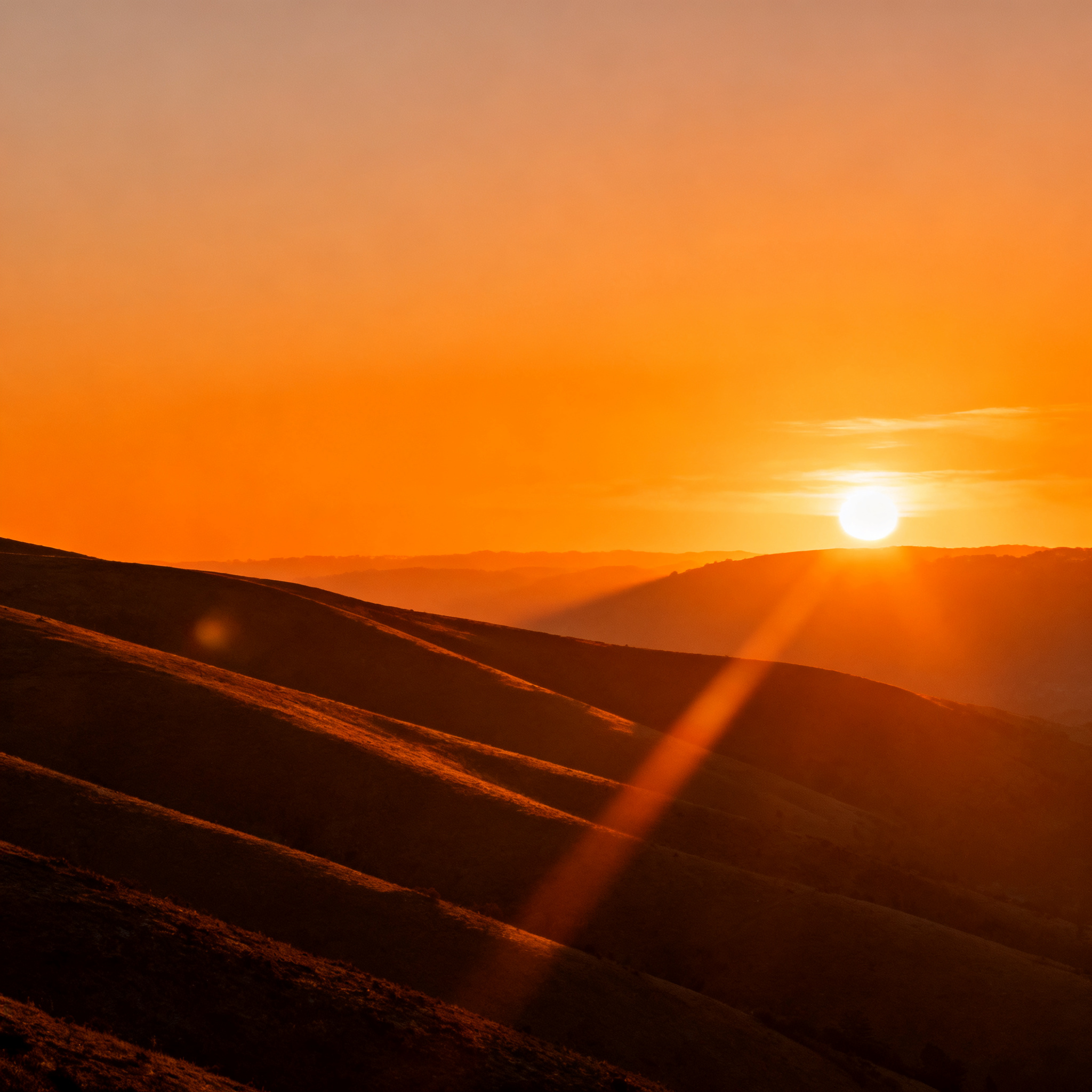 A landscape photograph bathed in golden hour light — long wa