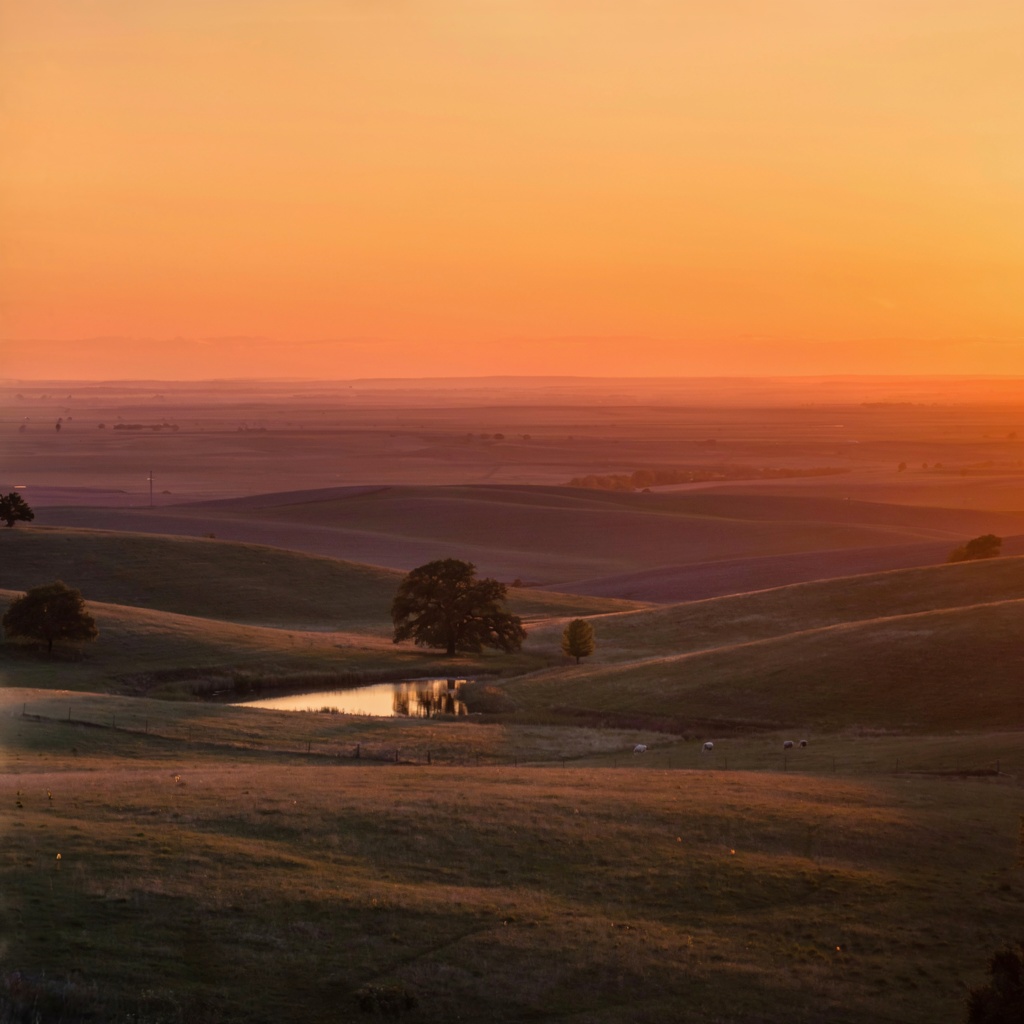 A landscape photograph bathed in golden hour light — long wa