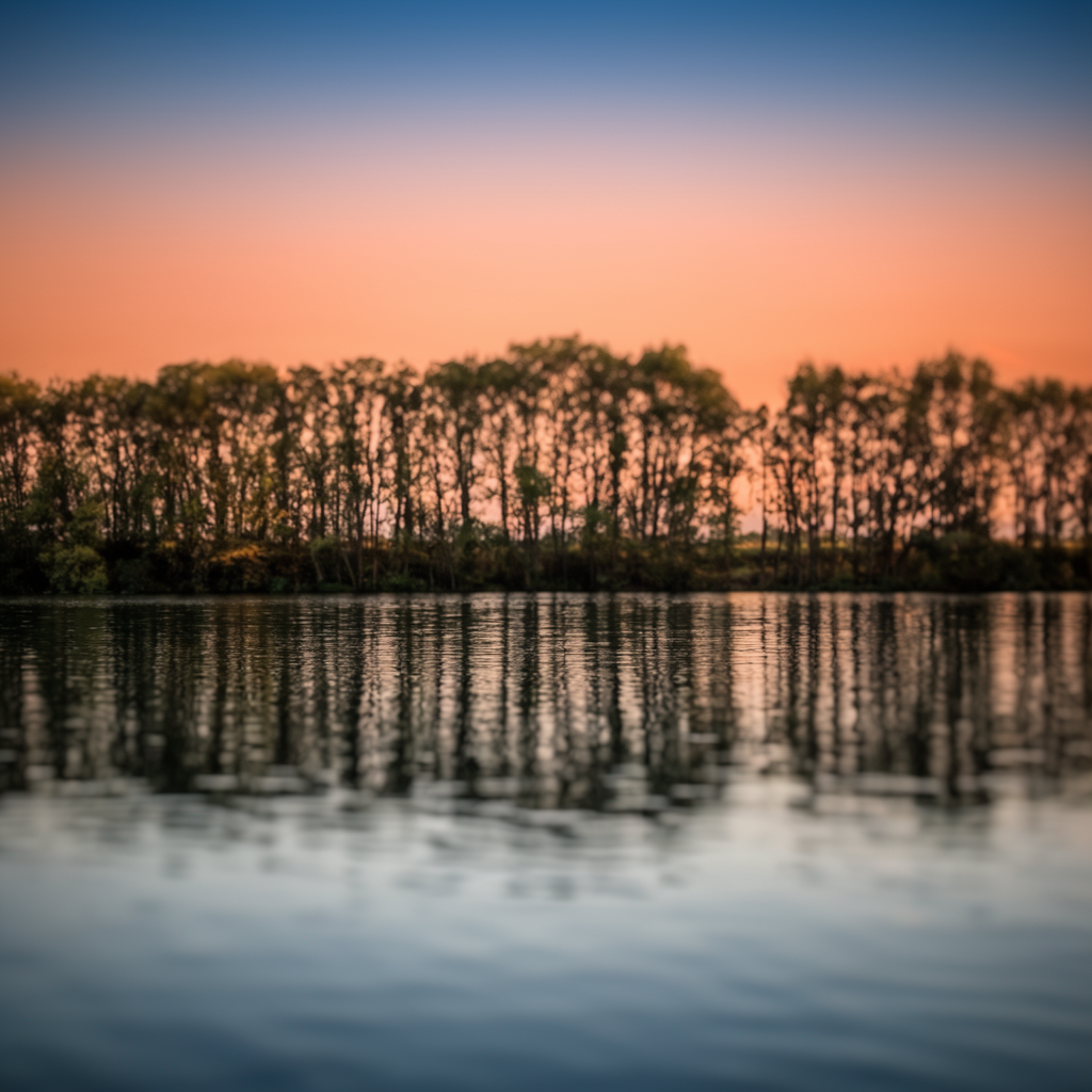 A row of trees reflected in a calm lake at sunset, with the 