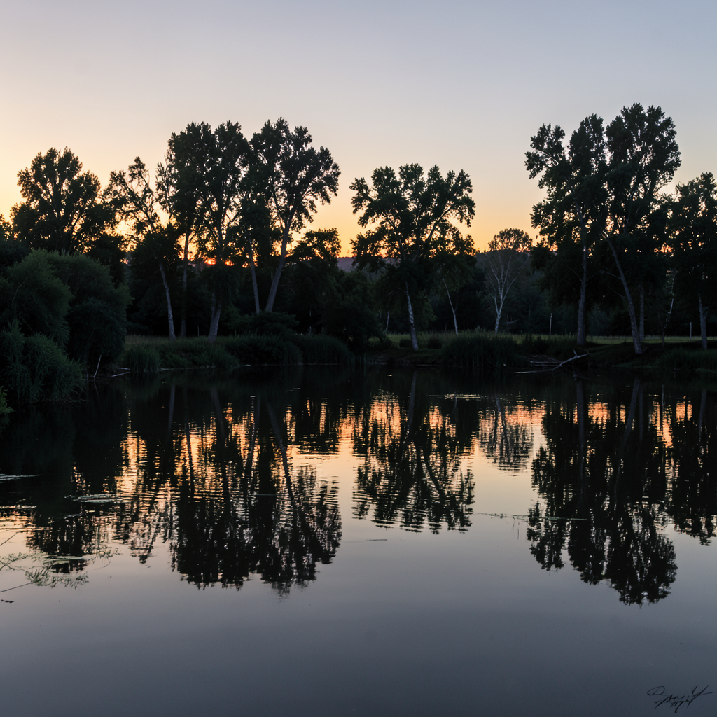 A row of trees reflected in a calm lake at sunset, with the 
