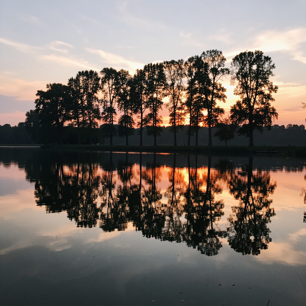 A row of trees reflected in a calm lake at sunset, with the 