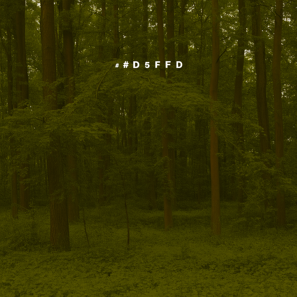 A forest scene where the foliage is precisely #2D5F2D (dark 